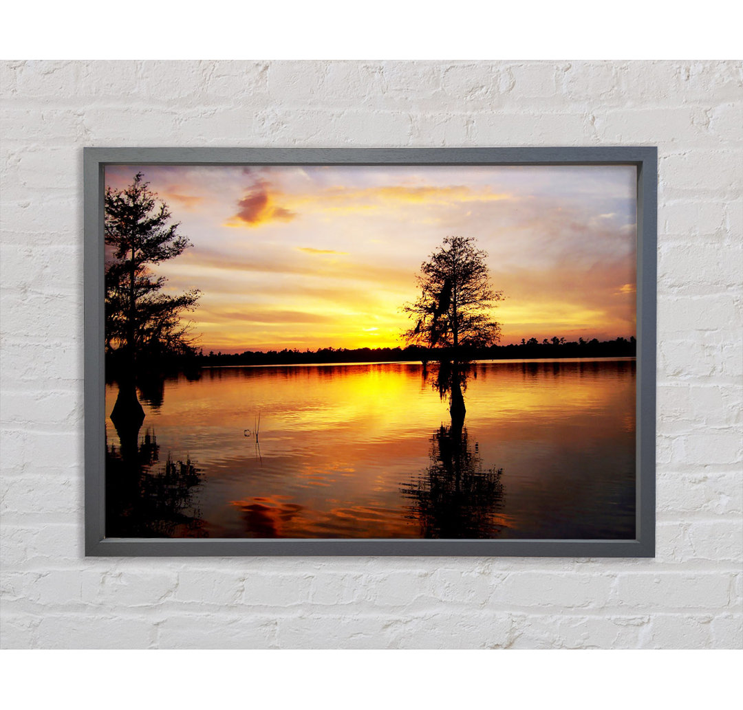 River Tree Sunset - Einzelner Bilderrahmen Kunstdrucke auf Leinwand