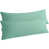 Menthe