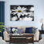 Sun Speckled Daisy by Don Schwartz - Wrapped Canvas Print-795640634
