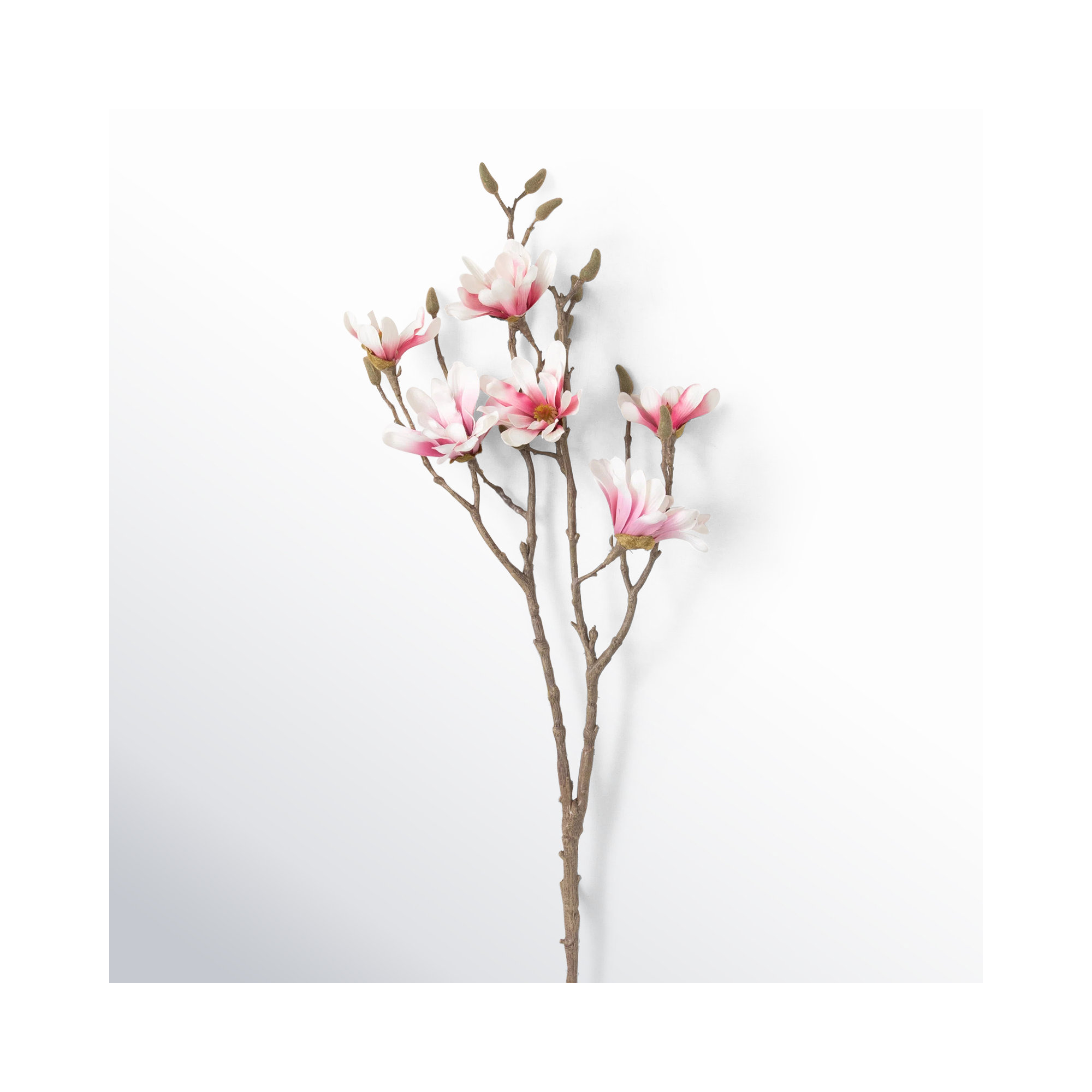 Magnolia Sprays, White