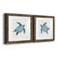 Bulle bleue tortue I - ensemble de 2 reproductions d'art-494887775-494887773