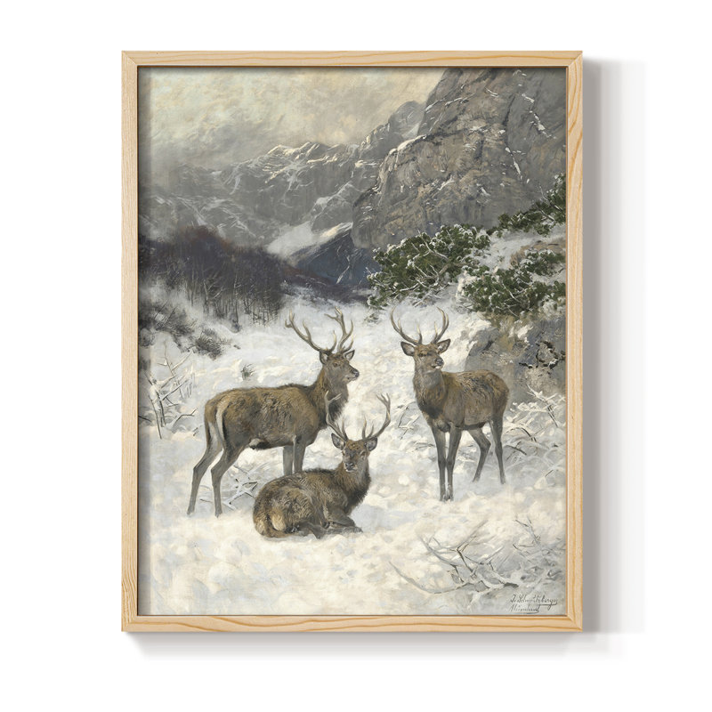 «Vintage Animal Print», reproduction encadrée en bois massif, Naturel, H 21 po x l 17 po