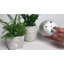 White Washed Set Of 3 Basket Pattern Planter