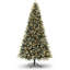Christmas Tree-1100134525