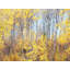 Swan Valley Autumn Portrait #4 Print by Bruce Heinemann-71201079-92903981-92903969
