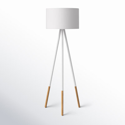 Skyler 60.25 " Dimmable and Smart-Enabled Floor Lamp