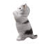 Animals Weather Resistant Polyresin Garden Statue-1662511359