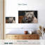 Tigre blanc et chaton Brampt-107870276