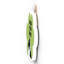 Gruia Wall Decor