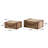 Hamachi Wooden Nesting Upholstered Decorative Beige Trunk with Vintage Accents and Studs Set