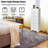 Bissett 23.5'' W 6 - Drawer Dresser