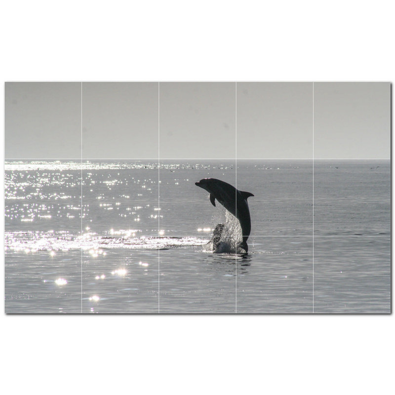 Dauphin photo 8 x 8
