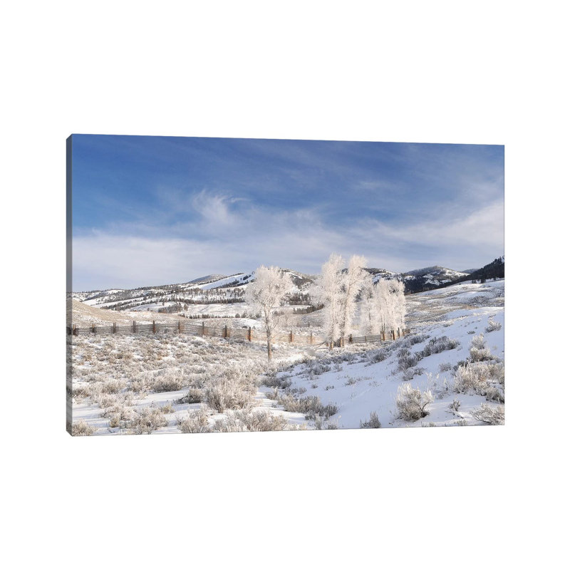 Winter In Lamar Valley by Brian Wolf - Wrapped Canvas Print