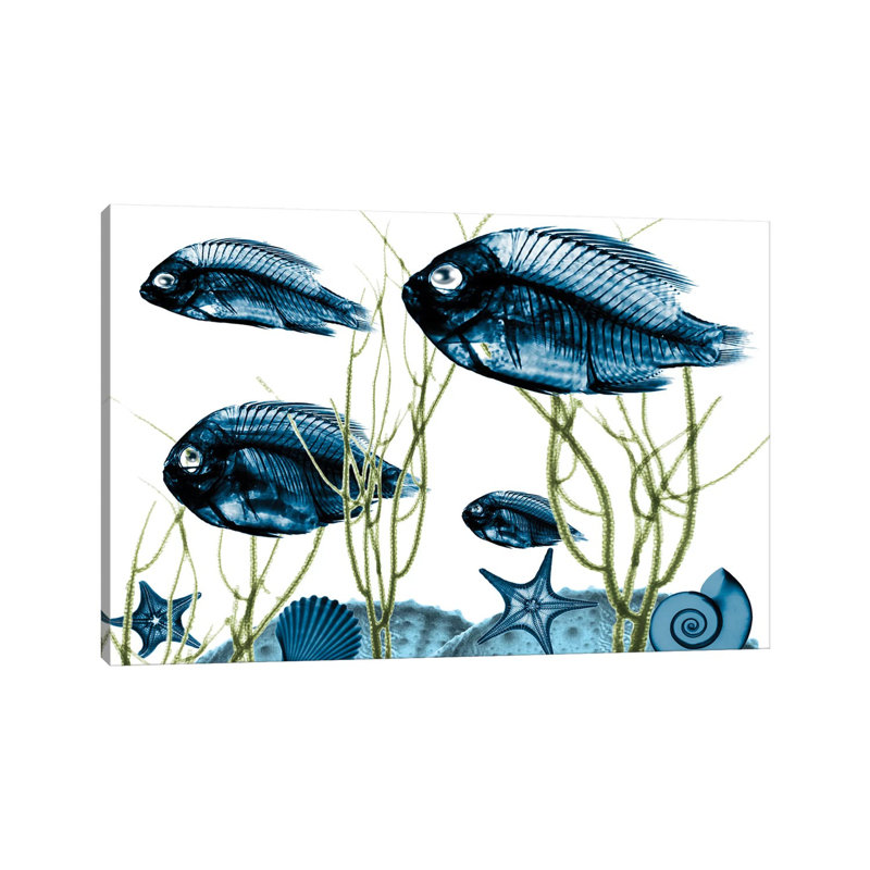 Aquatic Home II by Albert Koetsier - Print on Canvas, Wrapped Canvas, 45.72cm H x 66.04cm W x 3.81cm D