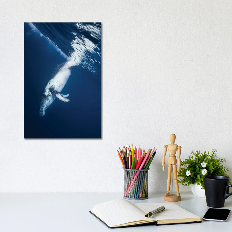 Reversing Humpback Whale by Barathieu Gabriel - Wrapped Canvas Print, 20.32 cm H x 30.48 cm W