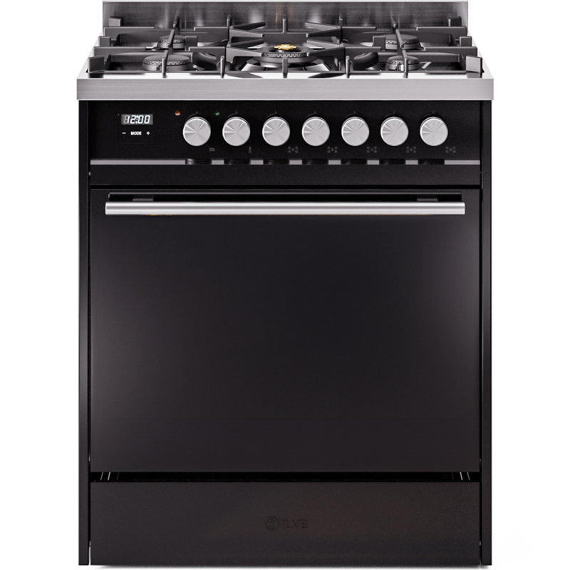  Ilve Professional Plus II 30 po à double combustible, 5 brûleurs scellés (porte pleine), Gaz naturel