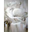 « white fleur ii », reproduction de peinture à l’huile sur toile tendue