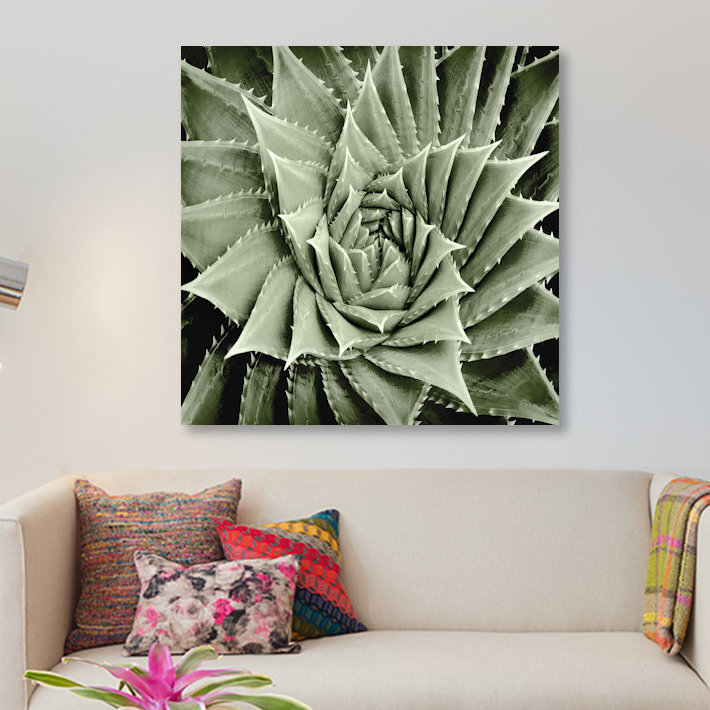 «Green Succulent I» par Mia Jensen, reproduction sur toile tendue sur châssis, H 12 po x l 12 po x P 1,5 po, Pas de tapis