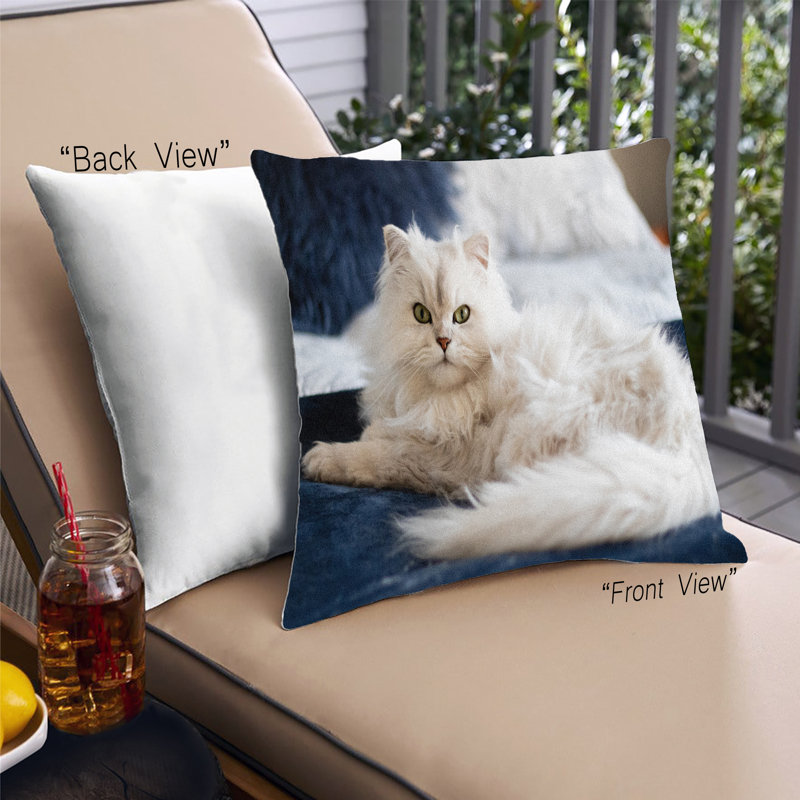 Coussin Cat Cats 41, Microsuède
