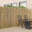 Bamboo Fence