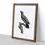 Paradise Crow by Jacques Barraband - Picture Frame Painting Print-55578393-55578392