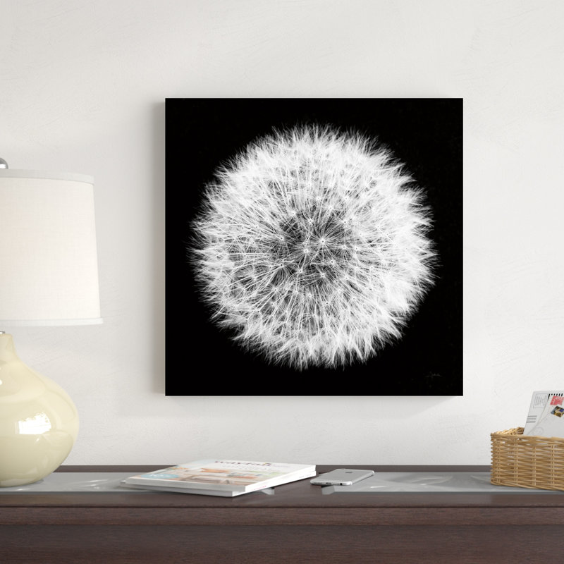Dandelion on Black I par Aledanda - Photographie sur toile tendue, H 20 po x l 20 po x P 1,25 po