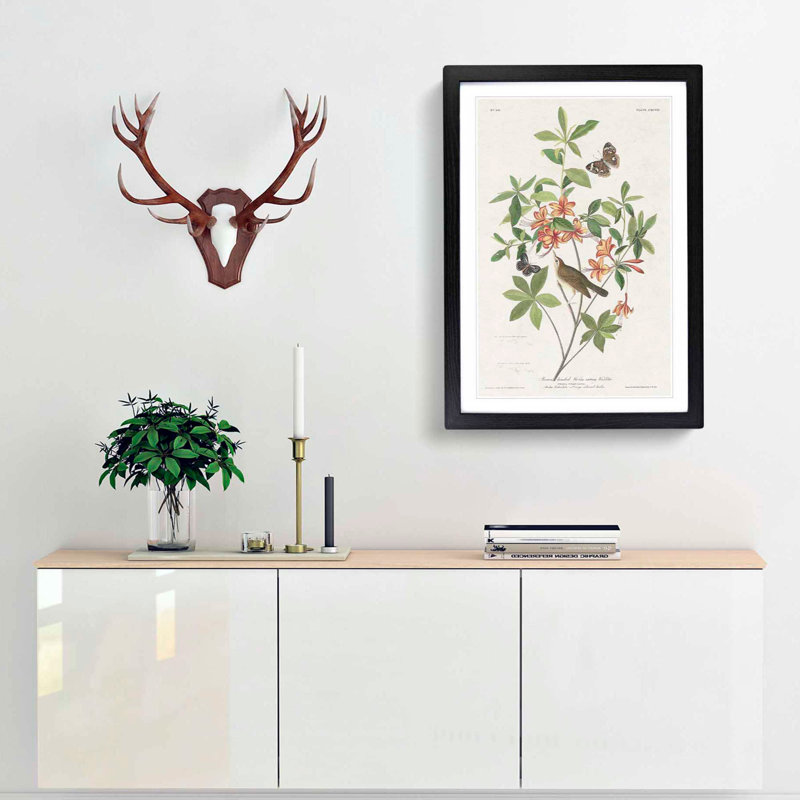 Warbler Bird & Butterflies by John Audubon - Picture Frame Painting Print, 36cm H x 27cm W x 2cm D, Black Framed