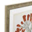 Antique Corals Print