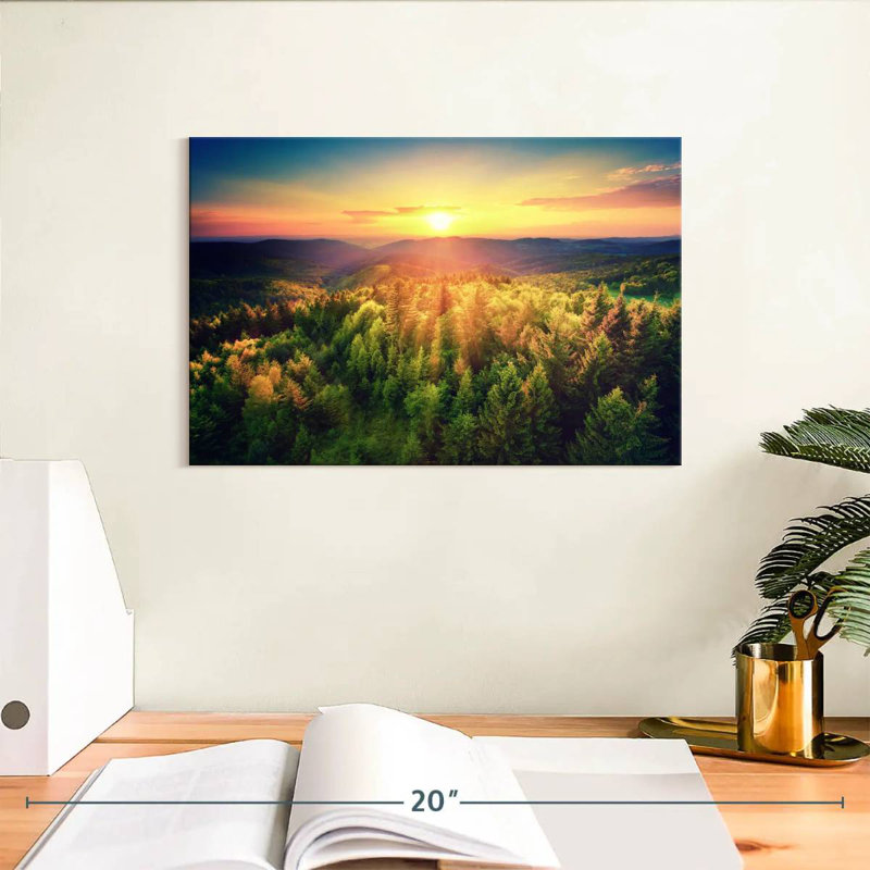 Scenic Forest At Sunset
