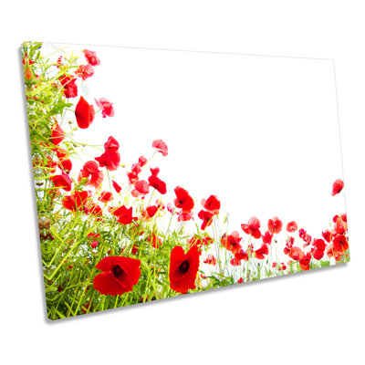 Poppies Flowers Floral Poppy - Wrapped Canvas Art Prints