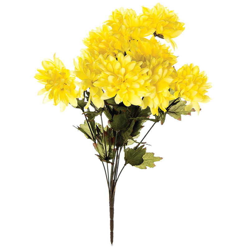 Chêne OakRidge, Jaune