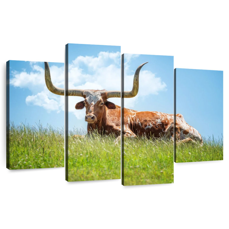Texas Longhorn sur l'herbe