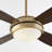 Laderrian 52'' Ceiling Fan with LED Lights-1886342239