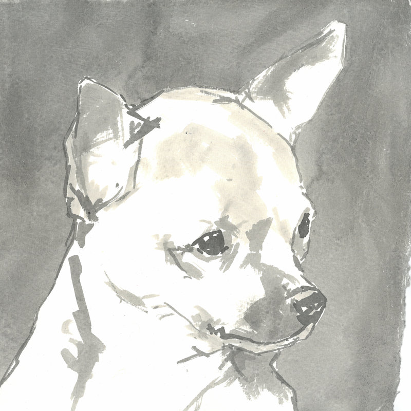 Sepia Modern Dog III - Wrapped Canvas Painting, 122cm H x 122cm W x 3.8cm D