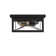 Glass Flush Mount