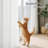 NICETOWN Non-See-Through Off Sheer Curtains 2 Panels, Privacy Rod Pocket & Back Tab Window Treatments Light Filtering for Living Room/Bedroom-1500151806-1500151800
