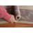 Wool Oriental Indoor Rug
