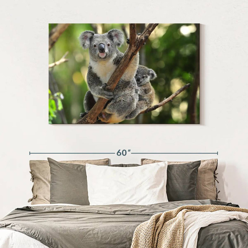 Australian Koala Bears, 32" H x 48" W