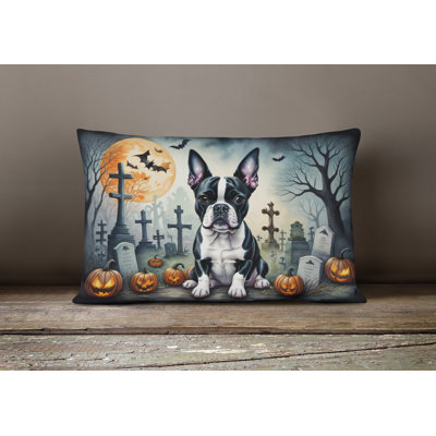 Other/No Pattern Outdoor Throw Pillow
