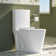  Modern One Piece Toilet, 1.1/1.6 GPF Elongated Dual Flush Toilet with Soft Closing Seat, Standard Modern Toilet for Bathroom, 12" Rough-In