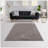 Super Soft Polyester Shag Area Rug-1495610035