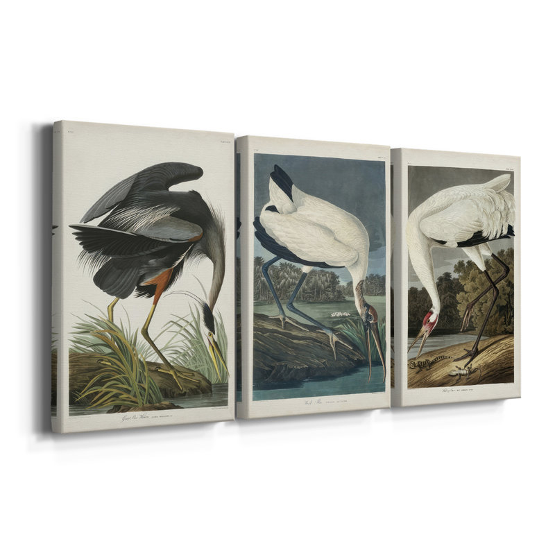 Pl 211 Great Blue Heron  -Custom Wrapped Gallery Canvas - 3 Pieces, 12" H x 24" W