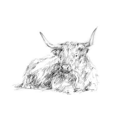 Reproduction sur toile tendue Highland