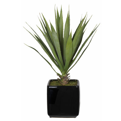 18'' Faux Yucca Succulent in Ceramic Pot