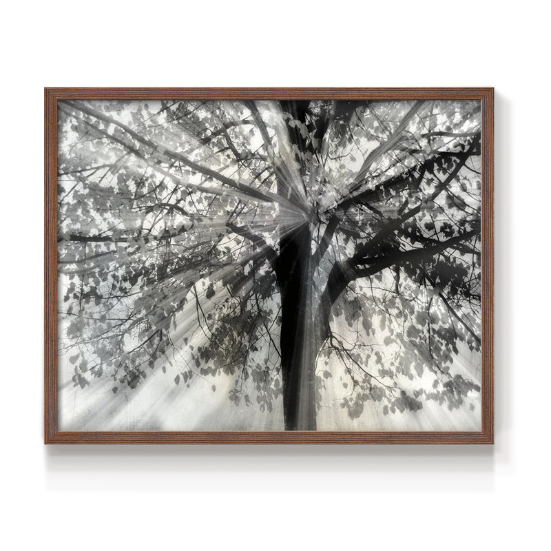 «Story From Light and Shadow», reproduction encadrée, H 16 po x l 20 po, Noyer