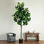 12 pi Arbre à violon artificiel