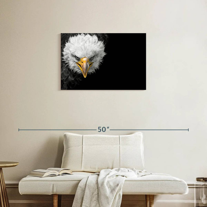 Crowle North American Bald Eagle