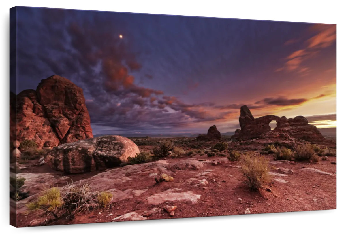 Millwood Pines Alvord Arches National Park Sunset | Wayfair