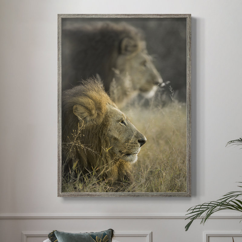 «Lions in Morning Sun», reproduction encadrée - bois massif, H 15 po x l 12 po