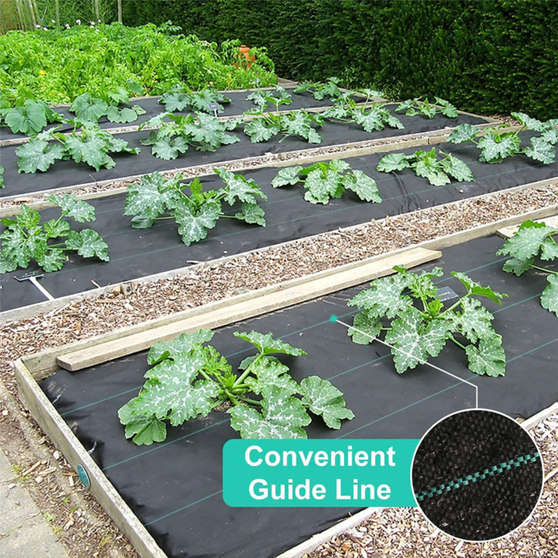 Tapis de sol Weed Barrier Landscape, L 1 200 po x P 48 po